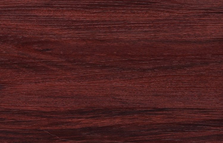 Carolina Cherry