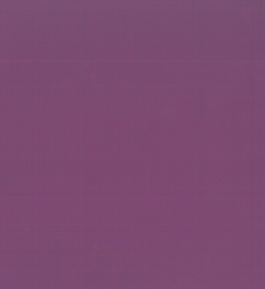NS-109 Purple