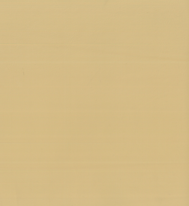 NS-134 Ivory