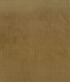 VO-20 Autumn Twig