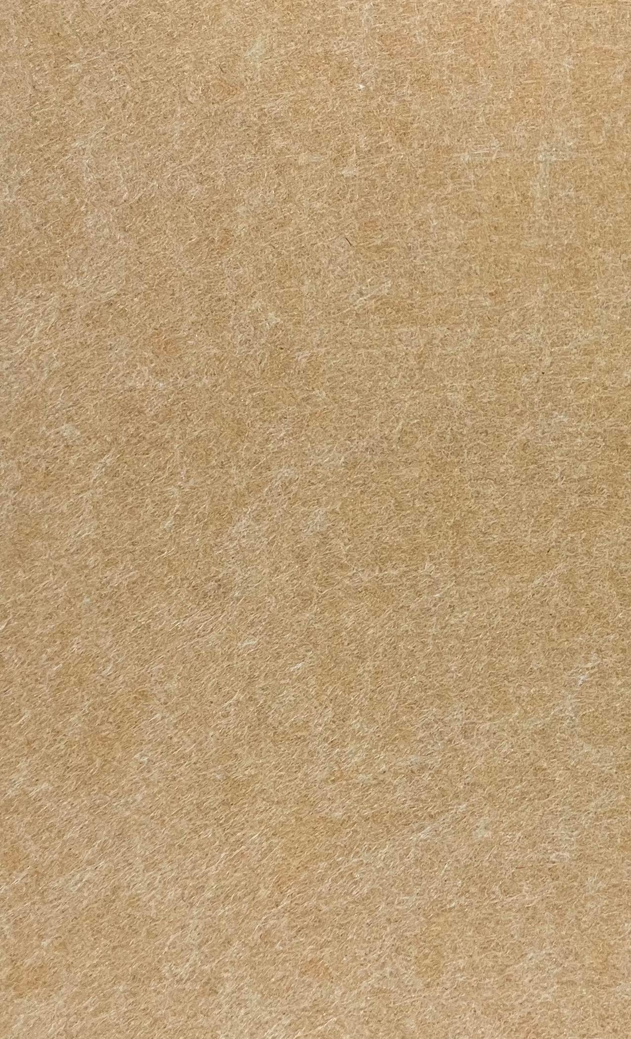 GS-05 Tortilla