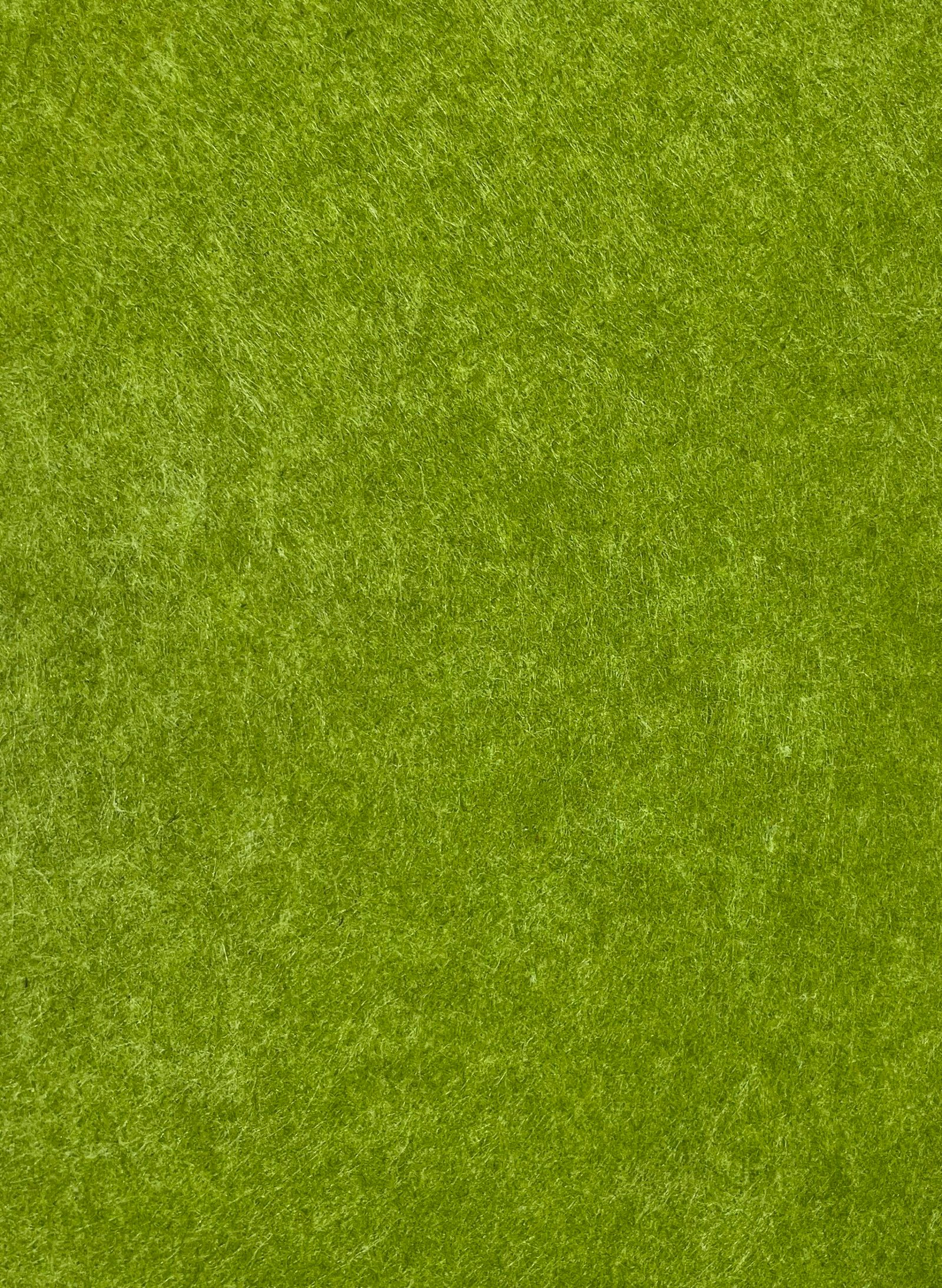 GS-30 Fern